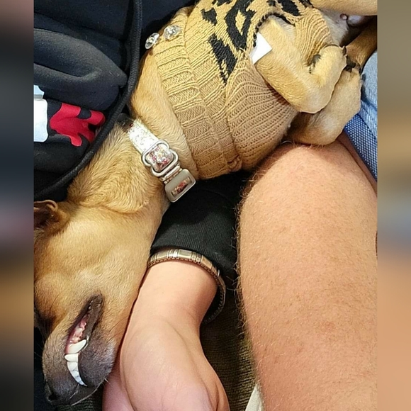 Meet your Posher, Ashley - Picture 6 of 7